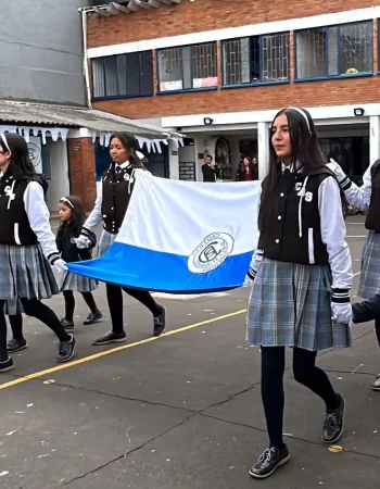 Bandera San Jose Del Juncal